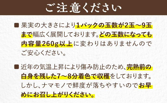 【先行予約】【1~4月発送】農家直送　大玉規格　特大大粒あまおう　《豊前》　【内藤農園】 [VAB023] 果物 いちご フルーツ