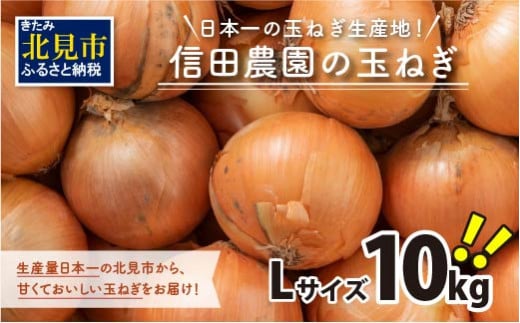 【2024年10月中お届け】日本一の玉ねぎ生産地！信田農園の玉ねぎ 10kg Lサイズ ( 信田農園 野菜 玉ねぎ 玉葱 たまねぎ タマネギ 10キロ 北見のたまねぎ オニオン 野菜 甘い ふるさと納税 )【124-0004-2024】