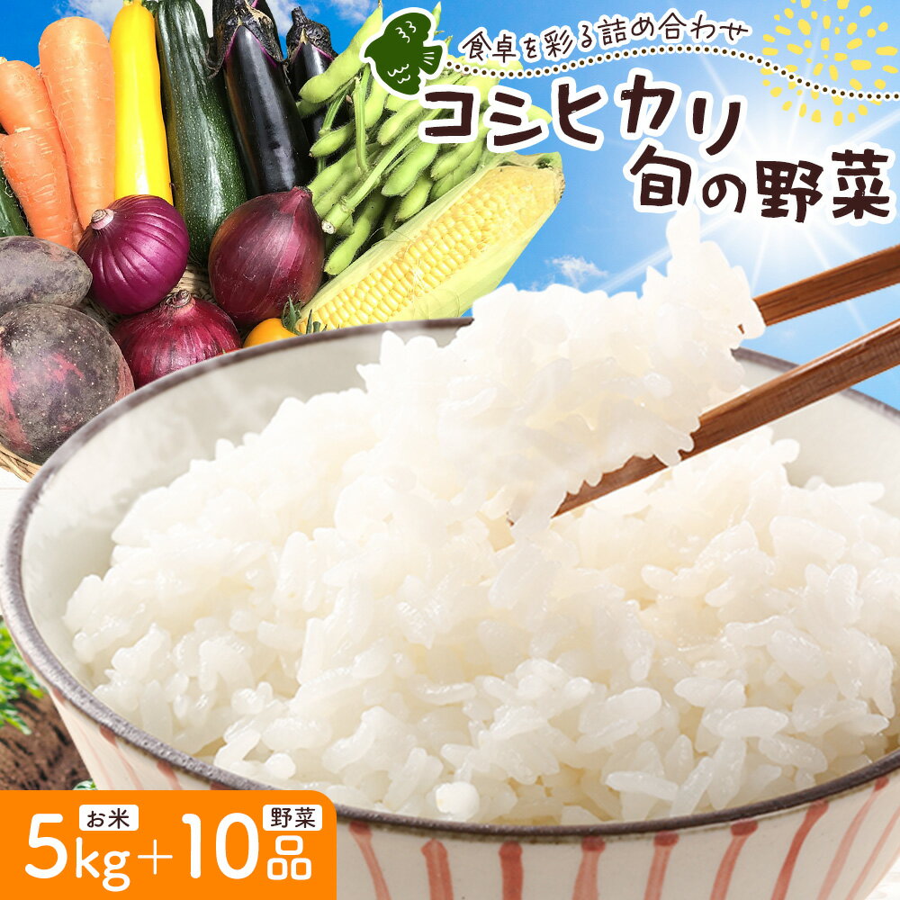 【ふるさと納税】米 野菜 千葉県我孫子市の農家直送! ふっくら甘み自慢の 令和7年産 コシヒカリ 5kg ＆ 旬の野菜 10品 《30日以内に出荷予定(土日祝除く)》 ベジLIFE!! 【配送不可地域あり】(沖縄・離島) 精米 米 白米 ごはん お米 国産 コメ 野菜 トマト 白菜 玉ねぎ
