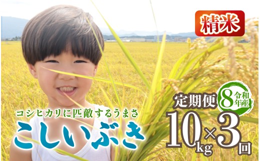 令和8年産 こしいぶき 定期便 10kg 3回 30kg 新潟 先行予約 新米 3か月 越後の新しい息吹 コシヒカリ の遺伝子を引き継ぐ 米 おこめ お米 ご飯 ごはん オニギリ お弁当 kome 送料無料 数量限定 農家直送 産地直送 国産 川瀬農園 四代目 悠助 新潟 新発田 kwsKI005_01_202609