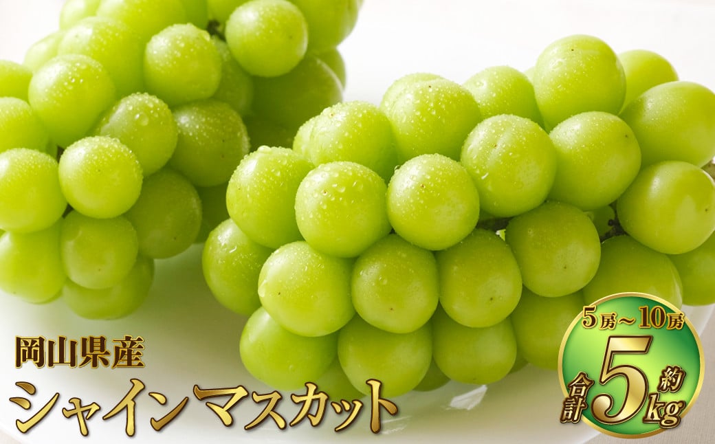 
            岡山県産 シャインマスカット 晴王 約5kg（5房～10房） 果物 フルーツ くだもの ぶどう ブドウ 葡萄 マスカット 種なし 種無し 冷蔵 国産 奈義町 【2025年7月上旬～8月下旬発送予定】
          
