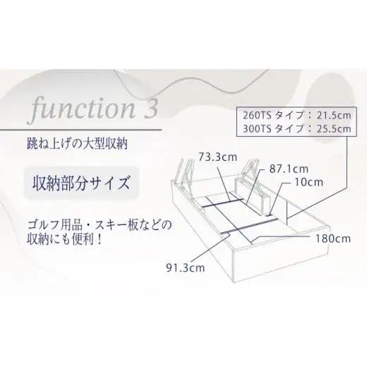 フランスベッド BG-001（跳ね上げ収納タイプ 260mm）上峰町オリジナルマットレス付き　シングル T-120