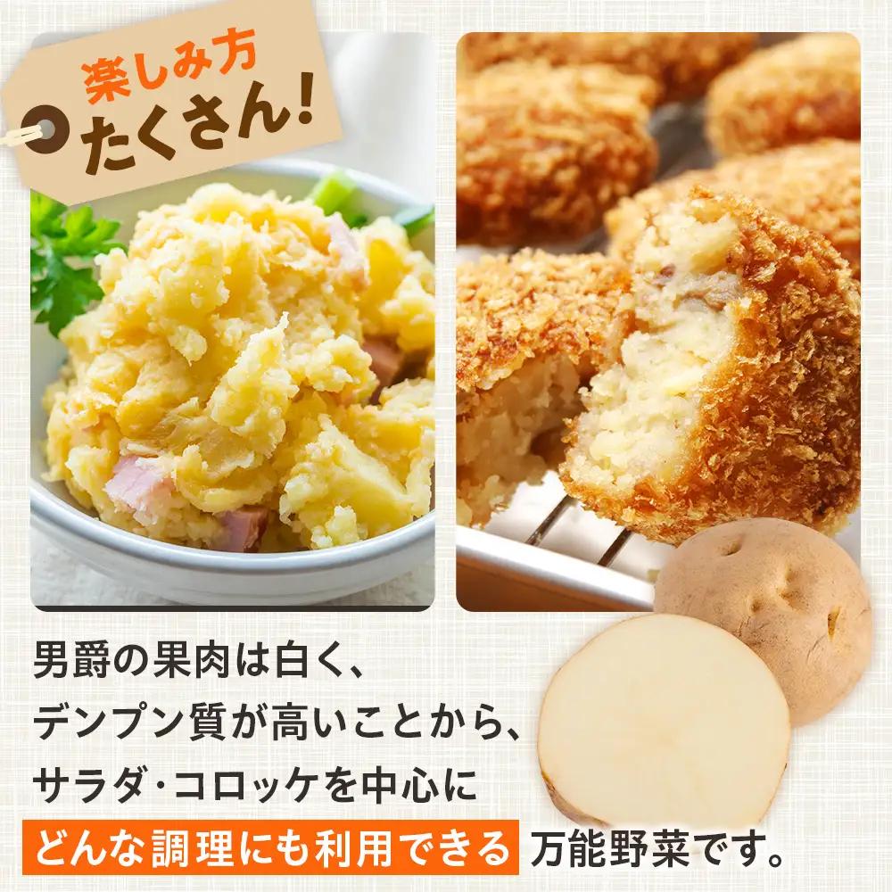 【先行受付】R8年産 特別栽培（男爵）じゃがいも 20kg  | ジャガイモ 芋 男爵 馬鈴薯 大容量 新鮮 野菜 煮物 カレー シチュー ポテト 保存 特産 産地直送 北海道 津別町 送料無料