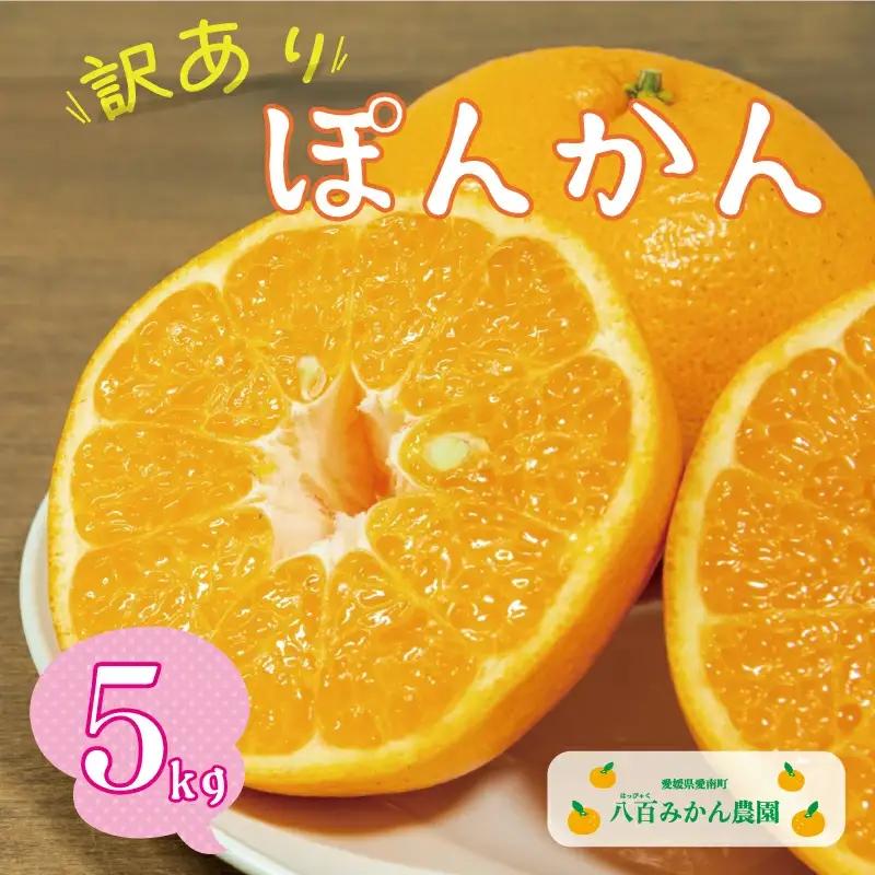【先行予約：2027年1月下旬～】訳あり ポンカン 5kg 7000円 八百みかん農園 愛媛県 愛南町