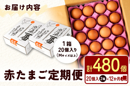 8月開始 児湯養鶏自慢の卵 ネッカリッチ赤たまご「児湯一番」 計480個 （20個入×2箱）×12か月定期便【E19-2608】