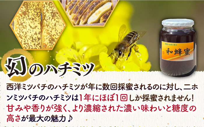 【先行予約】和蜂蜜（ニホンミツバチ）1kg 【2026年7月以降順次発送】《壱岐市》【和蜂ファーム壱岐】[JDP008] ハチミツ 蜂蜜 はちみつ 日本ミツバチ 48000 48000円 