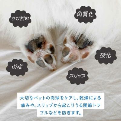 ふるさと納税 糸島市 【天然素材100%肉球用】ミツロウ&オーガニックオイルマールンパウバーム[AIN002] |  | 01