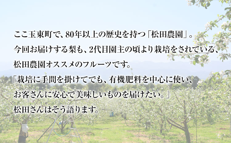 『松田農園』の玉東梨 (約5kg 8-18玉前後) 予約受付中《7月下旬-9月末頃出荷》 熊本県 玉名郡 玉東町 梨 ナシ フルーツ 果物 送料無料  旬