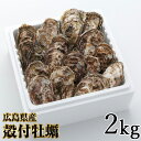 【ふるさと納税】殻付牡蠣 2kg｜朝どれ 生牡蠣 生かき 生がき 生カキ 生ガキ 広島 宮島 瀬戸 産地直送 [1379]