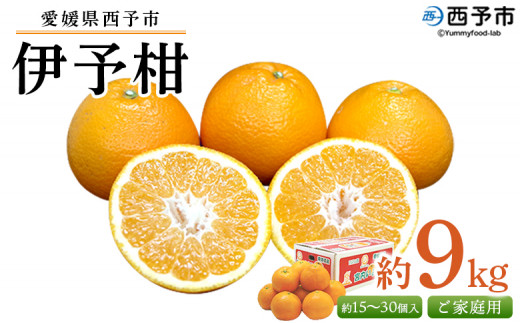 ＜愛媛県西予市産 伊予柑 ご家庭用 約9kg＞ 約15～30個入り 訳あり 果物 くだもの フルーツ みかん ミカン オレンジ 柑橘 イヨカン いよかん 食べて応援 特産品 宇都宮物産 愛媛県 西予市【常温】