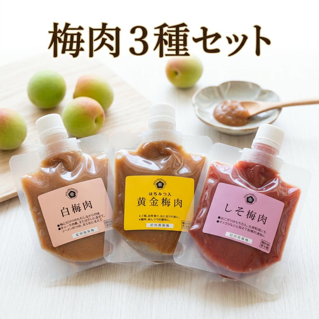 【ふるさと納税】 梅一番井口　紀州南高梅　梅肉　3種詰め合わせセット | 紀州 紀州南高梅 和歌山 梅 うめ ウメ 梅肉 しそ はちみつ チューブ 白干し 白干