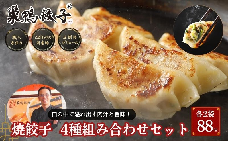 
            巣鴨餃子 各4種 焼餃子組み合わせ 各2袋 88個 餃子 ぎょうざ ギョーザ セット 食べ比べ 冷凍 焼き餃子 おかず おつまみ お取り寄せ 豊島区 東京都
          