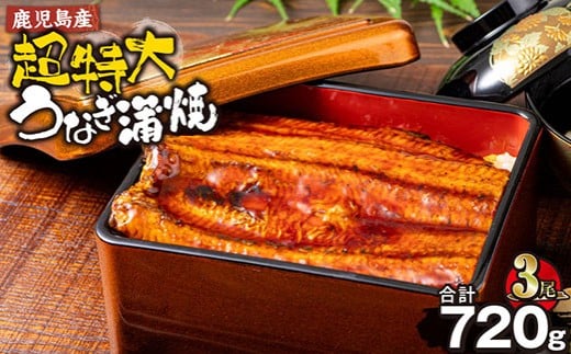 鹿児島産超特大うなぎ蒲焼(無頭) (計720g以上・240g以上×3尾) 鰻 蒲焼き 真空パック【株式会社財宝】A1043