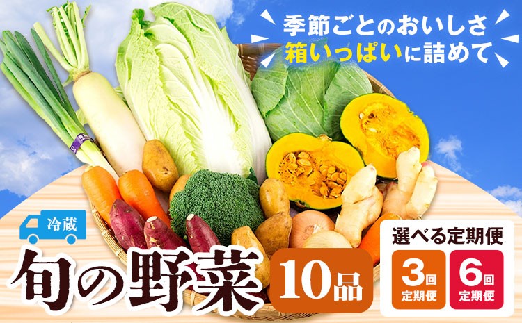 
                  旬の野菜 選べる 定期便 計3回 計6回 旬の野菜 10品【養生市場】定期便 品種おまかせ ランダム 3ヶ月お届け 計3回 6ヶ月お届け 計6回詰め合わせ セット 野菜 九州産 熊本県産《お申し込みの翌月から出荷》
                