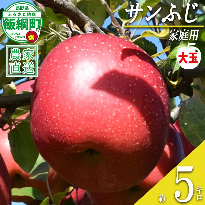【ふるさと納税】 りんご サンふじ ( 大玉 ) 家庭用 5kg ファームたんぽぽ 沖縄県への配送不可 令和8年度収穫分 長野県 飯綱町 〔 信州 果物 フルーツ リンゴ 林檎 長野 15000円 予約 農家直送 〕発送時期：2026年12月上旬〜2027年1月下旬{**}