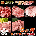 【ふるさと納税】A5飛騨牛　定期便　5カ月ちょこちょこお届け（焼肉・すき焼き　など）☆