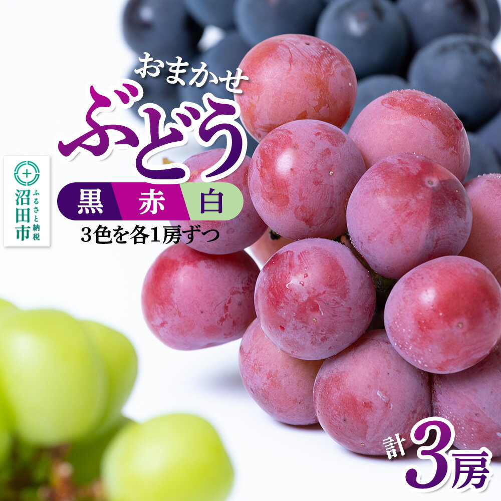 【ふるさと納税】沼田市産 ぶどう 3房セット（黒・赤・白／各1房ずつ）ぶどう農園 ラ・テール