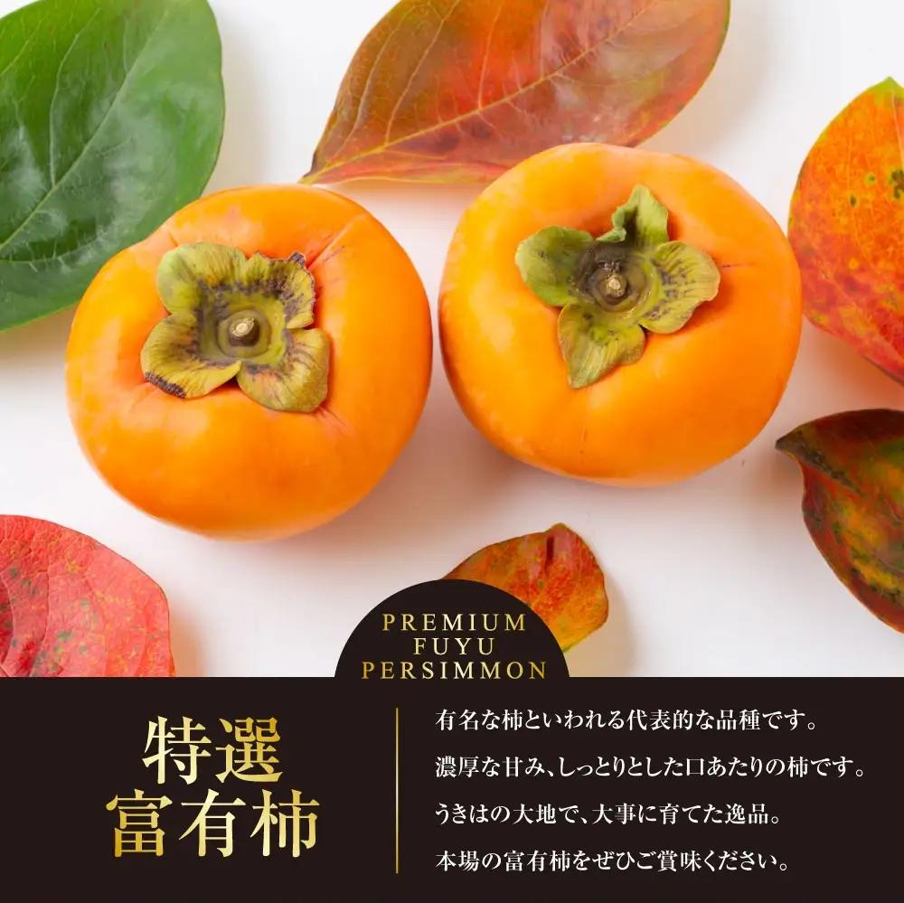 【先行予約】原茂之巨峰園 特撰 富有柿 大玉(3L) 8玉から9玉 2025年11月中旬から11月下旬 出荷予定