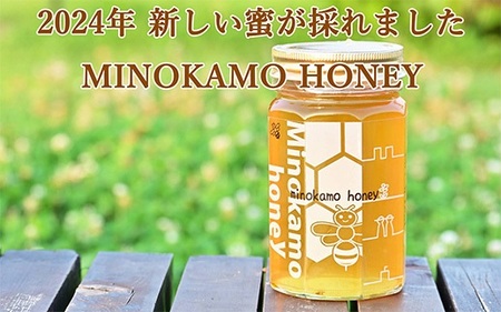  MINOKAMO HONEY はちみつ（500g） | 藤井養蜂 非加熱 百花蜜 国産 M12S101