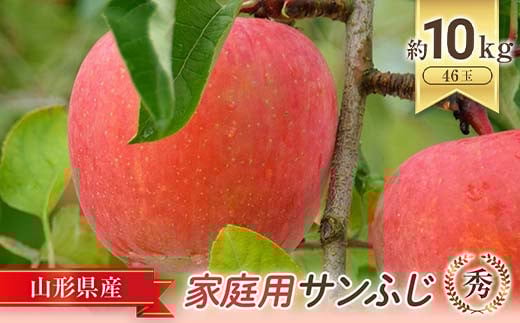 【令和8年産先行予約】 〈家庭用〉 JA りんご 「サンふじ (小玉)」 約10kg (46玉 秀) 《令和8年11月中旬～12月中旬発送》 『JA山形おきたま』 林檎 リンゴ 果物 フルーツ 山形県 南陽市 [721-R8]