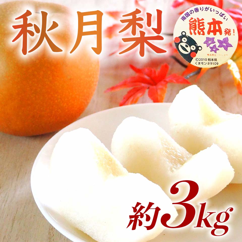先行予約 秋月梨 約3kg（4〜12玉 ）【2026年9月上旬〜2026年9月下旬配送予定】梨 なし ナシ 和梨 秋月 あきづき 果物 フルーツ くだもの 国産 産地直送 高級 甘い みずみずしい 大きい 大玉 食感 新品種 日本フルーツ