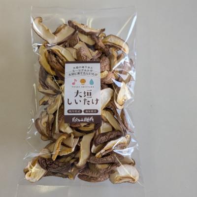 ふるさと納税 大垣市 【訳あり】希少な国産乾燥しいたけ スライス 計100g(20g×5袋) |  | 01