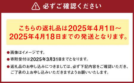 熊本県産 朝掘り 筍 約2kg 【2025年4月上旬発送開始】 たけのこ タケノコ 野菜