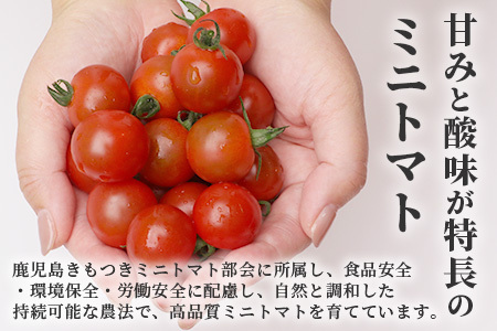 田淵さんちの美味しい ミニトマト 小鈴（1.0kg）| 野菜 トマト ミニトマト 産地直送 ミニトマト 新鮮 トマト 南大隅町産 ミニトマト おいしい  ミニトマト