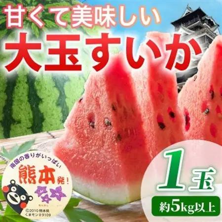 【先行予約】 熊本県産 暑い季節の水分補給に! 大玉すいか 1玉入り L以上 約5kg以上(益城町)【1684323】