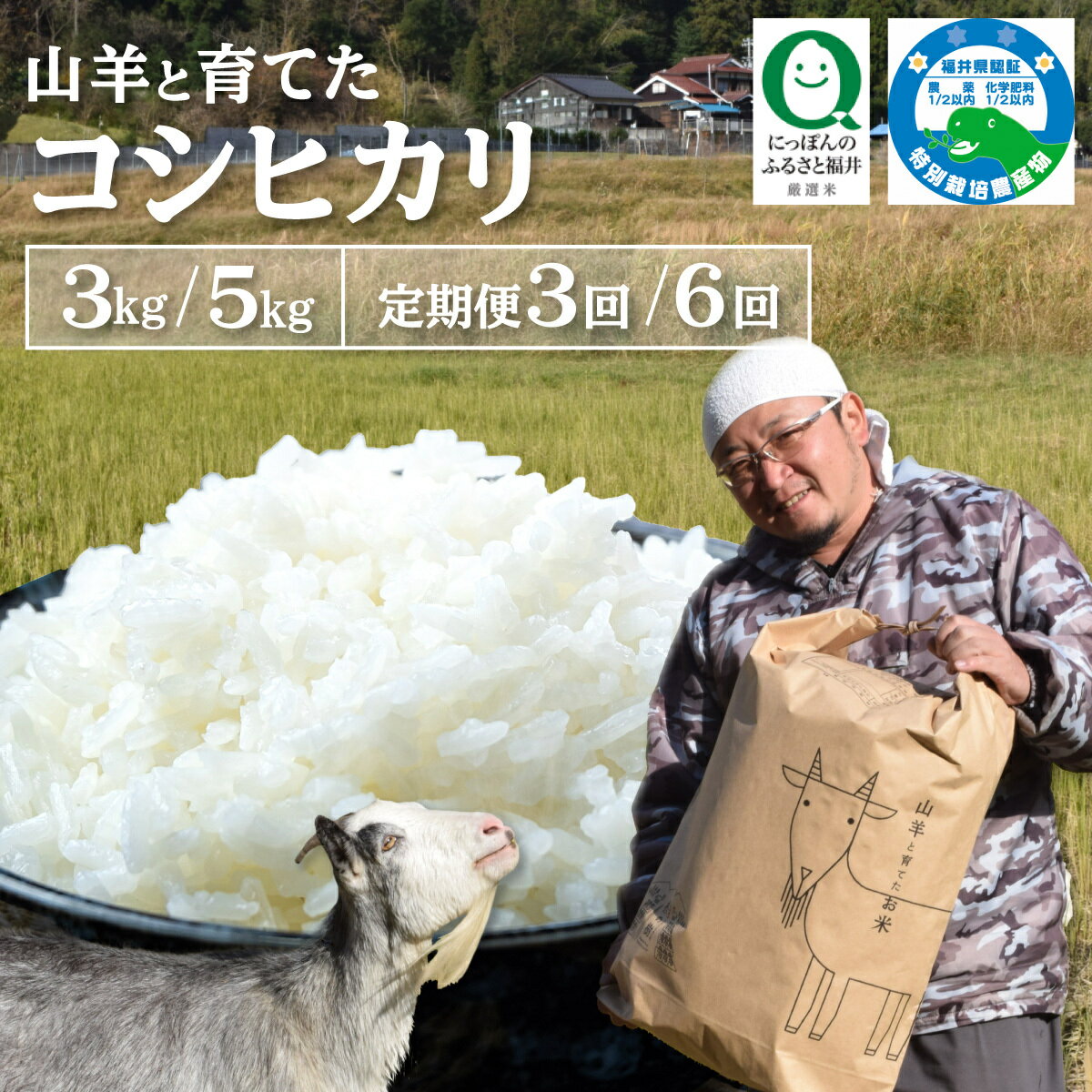 【ふるさと納税】令和7年産 ★ 福井県産 特別栽培米 『コシヒカリ』5kg / 3kg (単一原料米) ＜数量限定＞【山羊と育てた 福井のおいしいお米 お米 米 コメ 白米 精米 棚田米 ごはん ご飯 国産 北陸産 ブランド米 5kg 5キロ】