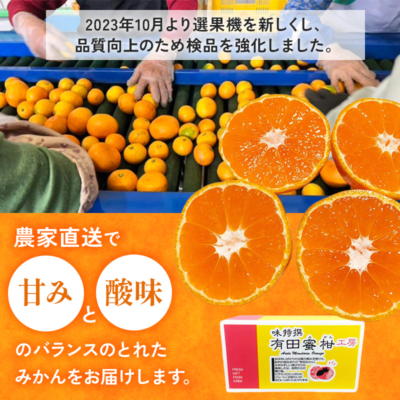 【ご家庭用】和歌山有田みかん約10kg(2L、3Lサイズ)〇 ※北海道・沖縄・離島への配送不可 ※2025年11月上旬～2026年1月下旬頃に順次発送予定