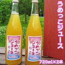 【ふるさと納税】【添加物不使用】うめっこジュース（720ml×2本セット）