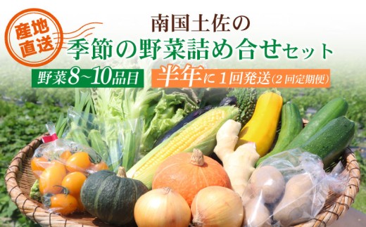 【半年に1回お届け 全2回コース】南国土佐の季節の野菜詰め合せセット | 定期便 セット 詰め合わせ 旬 やさい 野菜 卵 農家直送 お楽しみ かぼちゃ カボチャ キャベツ きゃべつ トマト とまと 玉ねぎ たまねぎ タマネギ きゅうり キュウリ 旬野菜 夏野菜 春野菜 人気 高知県 南国市