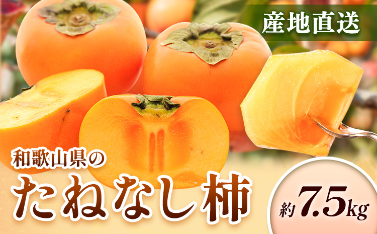 ＜10月より発送＞たねなし柿 約7.5kg 刀根早生 平核無柿 ひらたねなしかき 池田鹿蔵農園《10月上旬-12月上旬頃出荷》 和歌山県 日高町 柿 カキ かき たねなし ジューシー フルーツ 種無柿