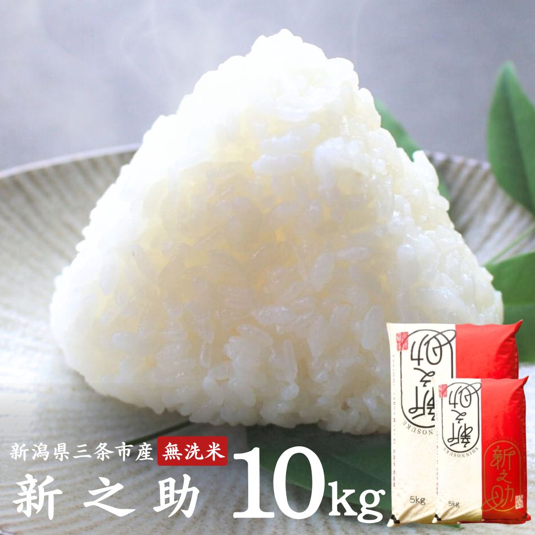 【ふるさと納税】無洗米 新之助 10kg(5kg×2袋) 新潟県三条市産 令和7年産 [外山敏雄商店]【020S038】