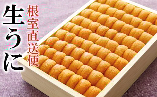 D-40047【12/14まで年内配送】 エゾバフンウニ並べ詰め150g×1折