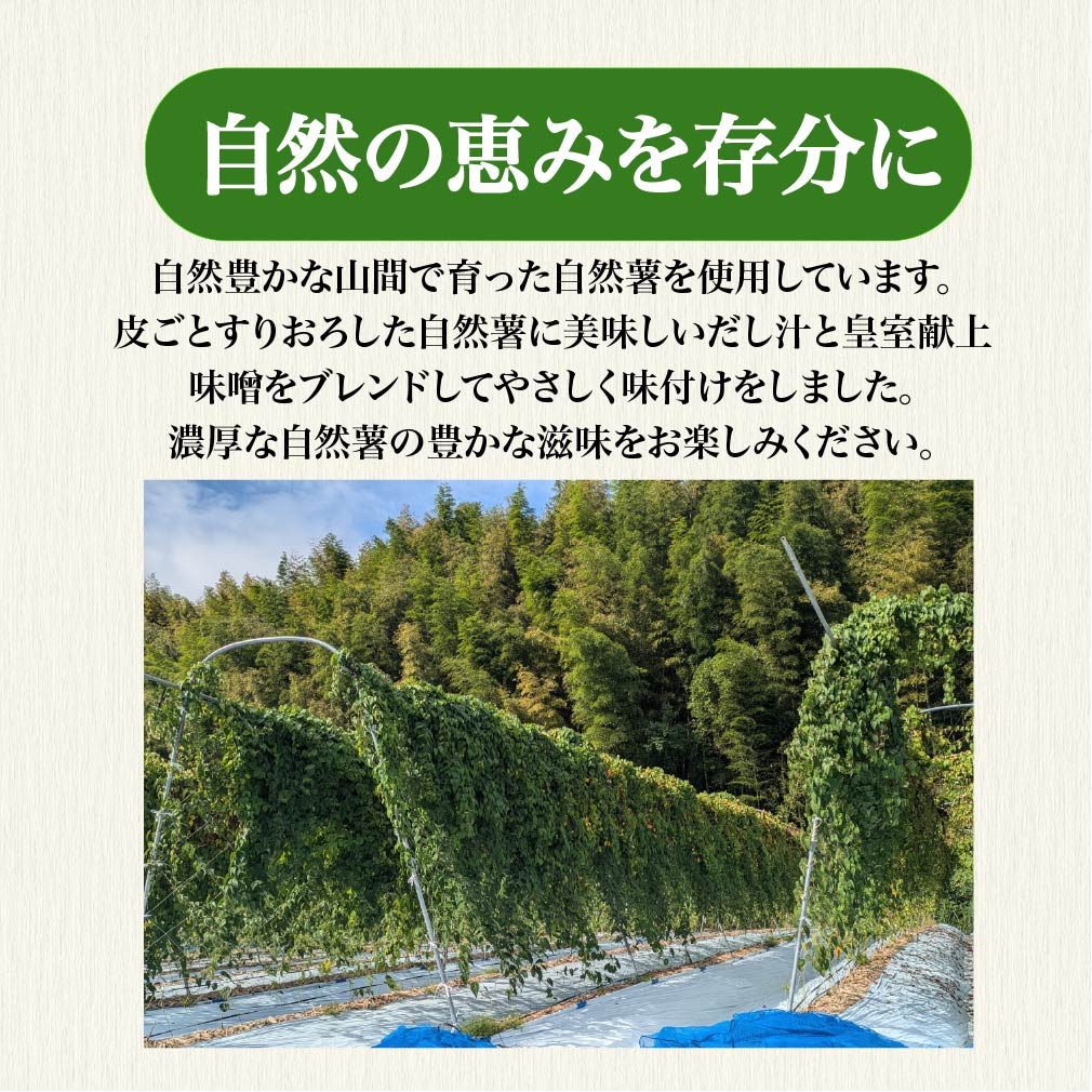 とろろ 冷凍 125g × 8個 自然薯 100％ 小分け セット とろろ汁 長芋 山芋 お手軽 アンチエイジング 農林水産省賞 受賞 ご飯 お供 そば つけ汁 健康 栄養 夏 バテ とろろ芋 個包装