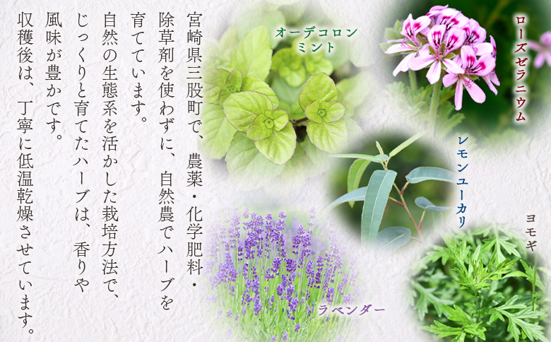 ＜香り袋（レモンユーカリ）＞国産 ドライ 乾燥した天然ハーブ 自然 芳香用 サシェ クローゼット 引き出し 玄関 お部屋 車内 車の中 バッグ 鞄 カバン 宮崎県 三股町【MI716-bi】【美香園】