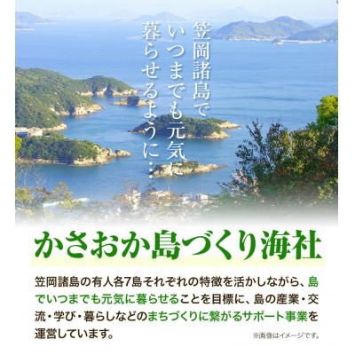 ふるさと納税 笠岡市 魚々干　今日の漁りセット(Bセット)　A-136 |  | 03