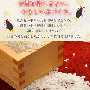 ほたる米 10kg（茨城県共通返礼品・城里町産） / 米 こめ コメ お米 おこめ ほたる米 白米 精米 ごはん ご飯 令和7年産 10kg 茨城県 城里町 利根町