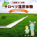 【ふるさと納税】サロベツ湿原体験 木道自然ガイド 1名様分 (5～10月)/ オリジナルカレンダーのお土産付き 北海道 散策 体験 旅行 豊富町 サロベツ