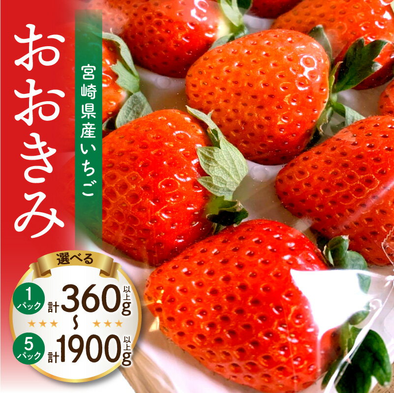 【ふるさと納税】【選べる内容量】《2026年発送 先行予約》【数量・期間限定】宮崎県産イチゴ「おおきみ」いちご ストロベリー 大きい 甘い 大粒 大粒いちご 高糖度 果物 フルーツ 果肉 スイーツ デザート 贈り物 贈答 プレゼント 国産 宮崎県産 グルメ 宮崎県 宮崎市