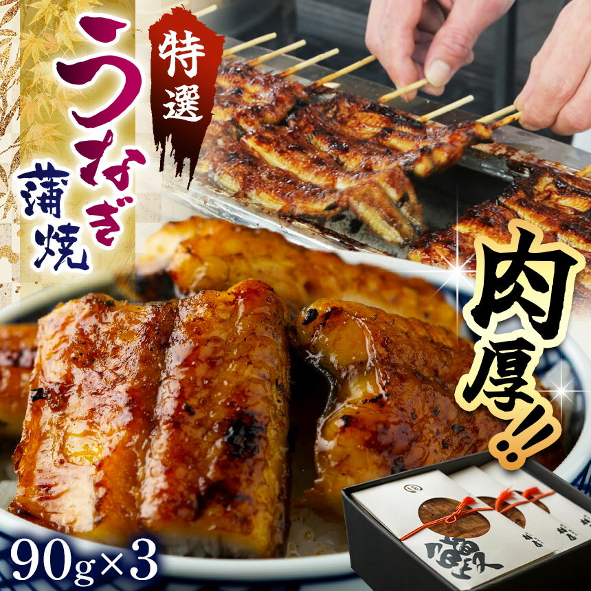 【ふるさと納税】 大人気 特選 蒲焼 うなぎ（短冊）肉厚うなぎ を 炭火焼 ！ ｜ ふるさと納税 特選 蒲焼 うなぎ 短冊 肉厚うなぎ 炭火 炭火焼 高級蒲焼 国産 うなぎ 鰻 ウナギ 肉厚 炭火焼うなぎ 贅沢 肉厚うなぎ 蒲焼特選 ギフト 栃木県 那珂川町 送料無料
