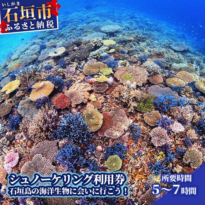 【ふるさと納税】1日シュノーケリング体験券～石垣島の綺麗な海でマンタやウミガメに会える～ 1名様分 インストラクター指導付 初心者歓迎 所要時間5～7時間 チケット アクティビティ 旅行 沖縄県石垣市 送料無料 YD-3-1
