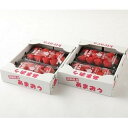 【ふるさと納税】ふくおかエコ農産物認証!! あまおう 約1140g 約285g×4パック ＜筑前町＞ | フルーツ 果物 くだもの 食品 人気 おすすめ 送料無料