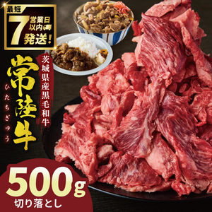 常陸牛切り落とし 500g（NW-5）