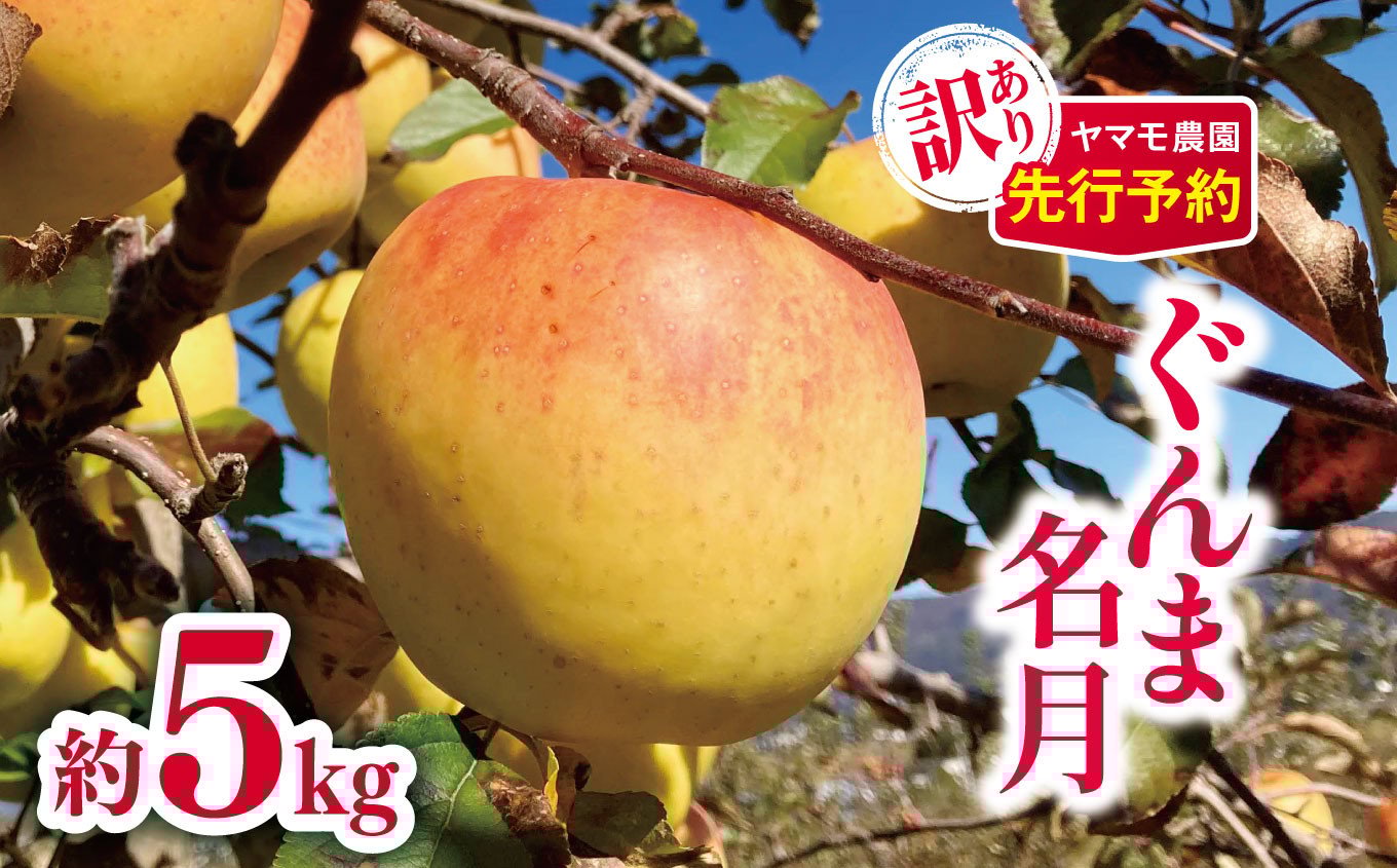 
            訳ありぐんま名月 約5kg  【2026年先行予約】  | ヤマモ農園 果物 フルーツ 訳あり りんご リンゴ 林檎 ぐんま名月 訳あり 長野県 松川村 信州
          