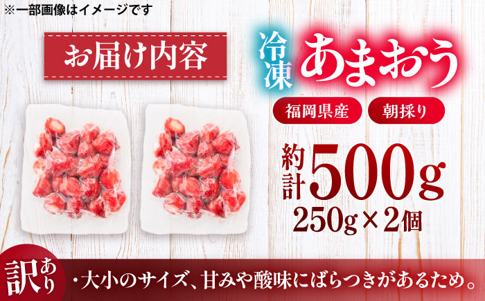 【訳あり】福岡県産 冷凍あまおう500g(250g×2個) 《豊前市》【株式会社木村食品】いちご 苺 イチゴ 取り寄せ [VEG011]