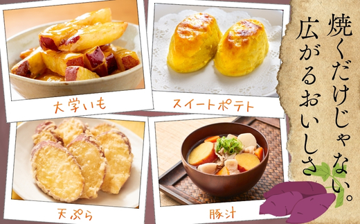 紅はるか さつまいも 10kg ｜ 熟成 数量限定 甘い 焼き芋 バター焼き サラダ 天ぷら スイーツ スイートポテト 大阪 河内長野 中村オリジナルぶどう園 訳あり 料理 国産 野菜 食育