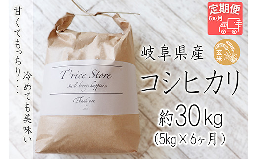 
【令和6年産】 新米 T rice Store 岐阜県産 コシヒカリ（玄米） 約30kg(5kg×6回）
